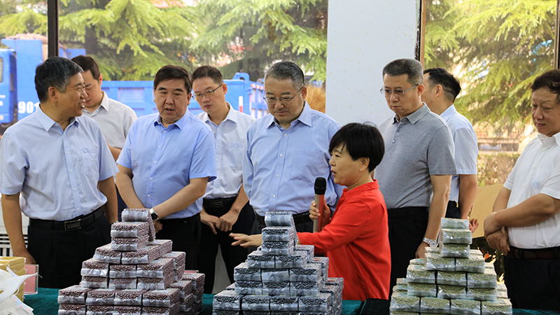 公海彩船6600(中国游)官方网站