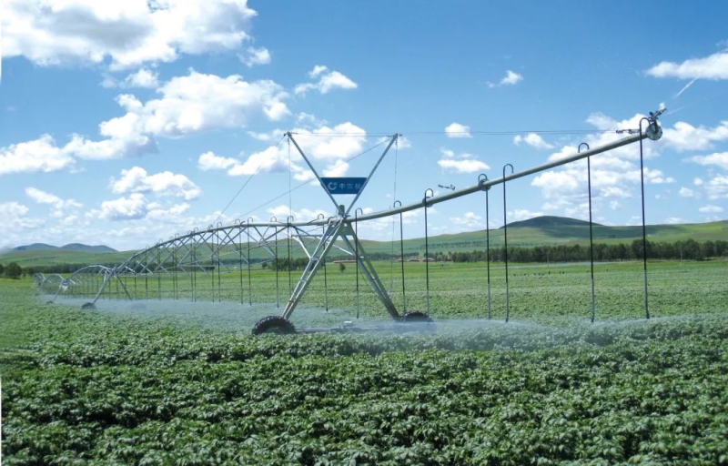 公海彩船6600(中国游)官方网站