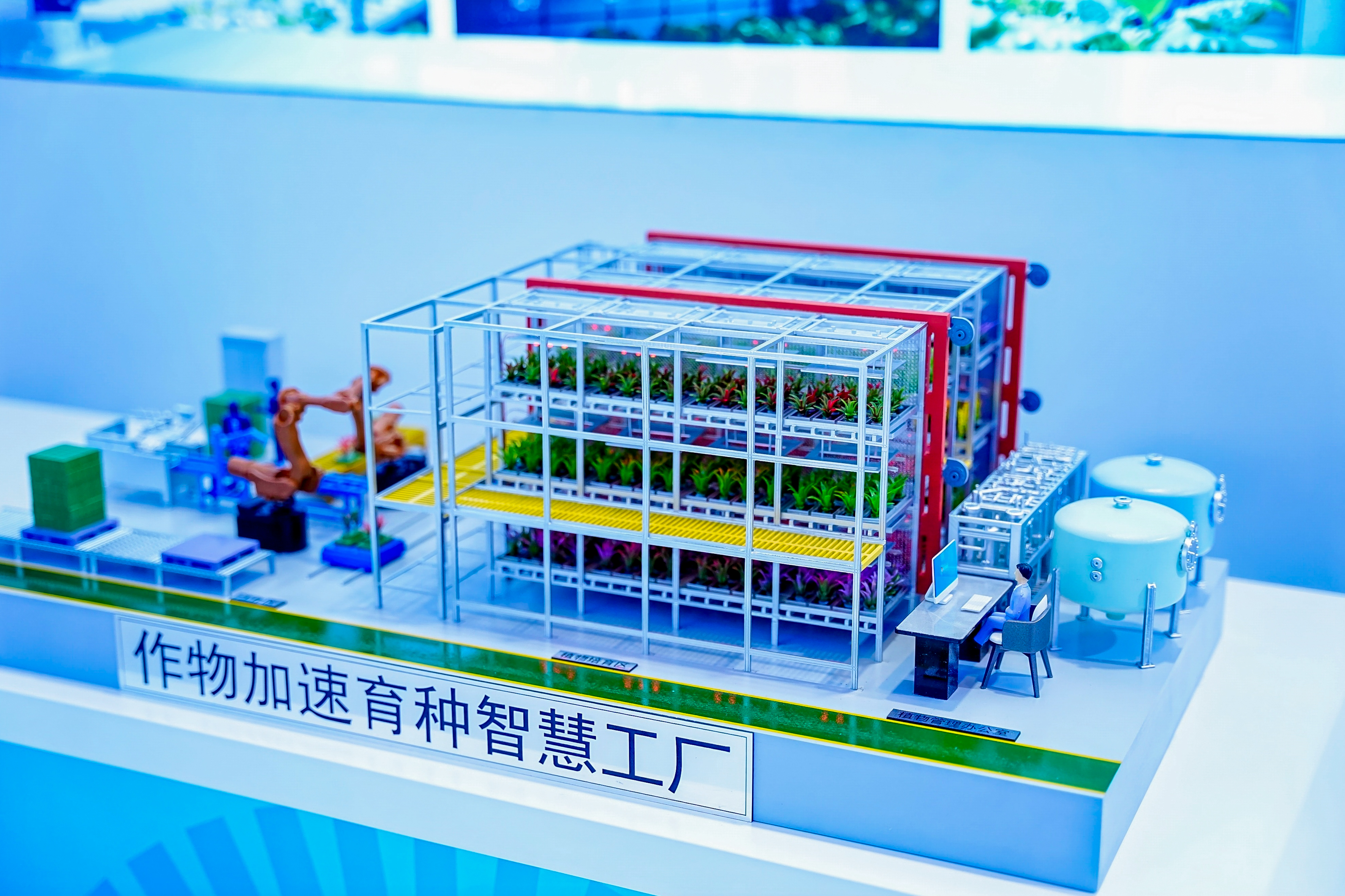 公海彩船6600(中国游)官方网站