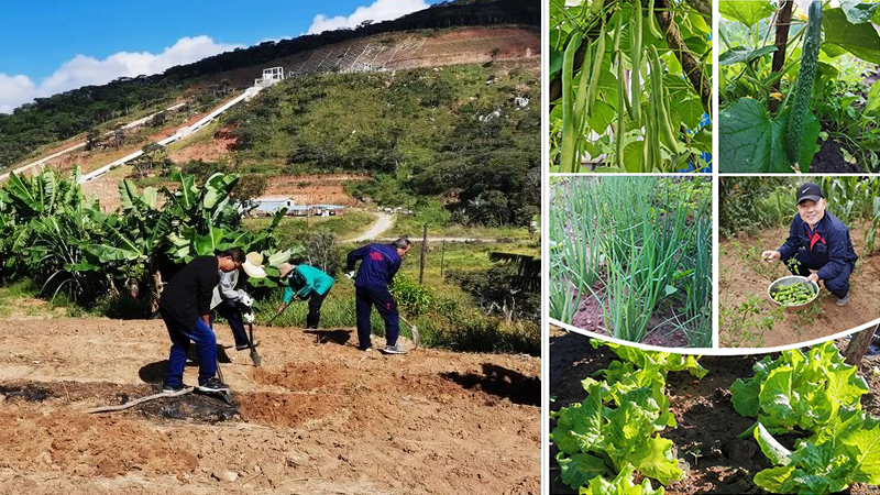 公海彩船6600(中国游)官方网站